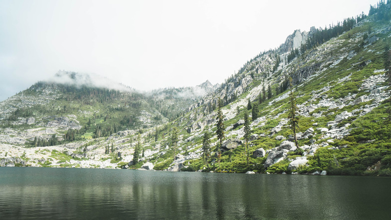 Pine trees below a high mountain ridge on the Canyon Creek Lakes Trail, Trinity Alps Wilderness