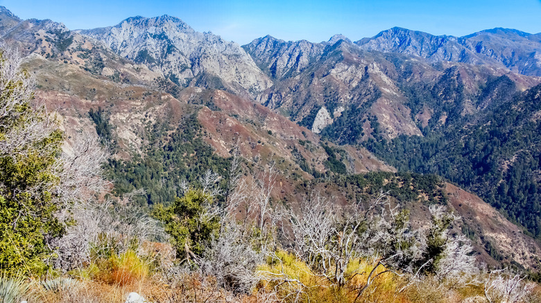 Gazing into the heart of the Ventana Wilderness in California