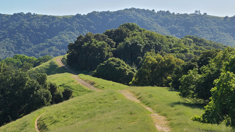 A trail weaves over the green hills of the Santa Cruz mountains near California