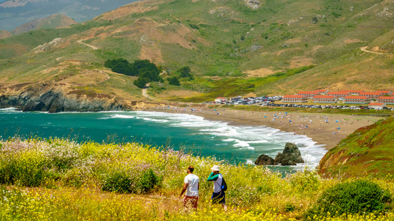Two hikers trek through a field of wildflowers on the coastline near For Cronkhite.