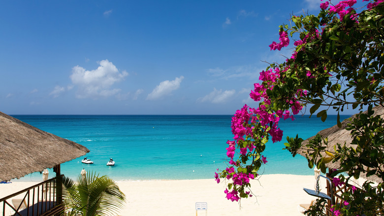 La Samanna beach in Sint Maarten
