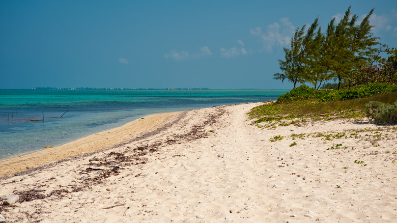 a beach at barker's national park on grand cayman