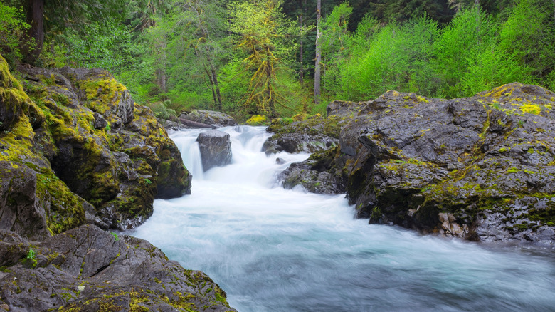 Small waterfall on river in Salmon Cascades surrounded by rocks and trees