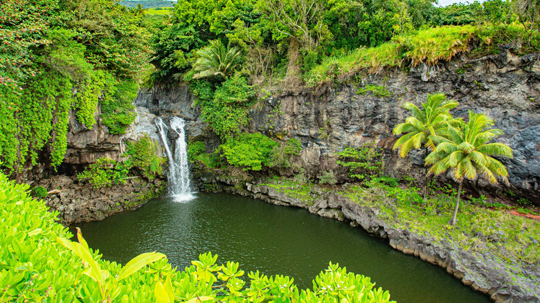 Hawaiian waterfalls amidst greenery
