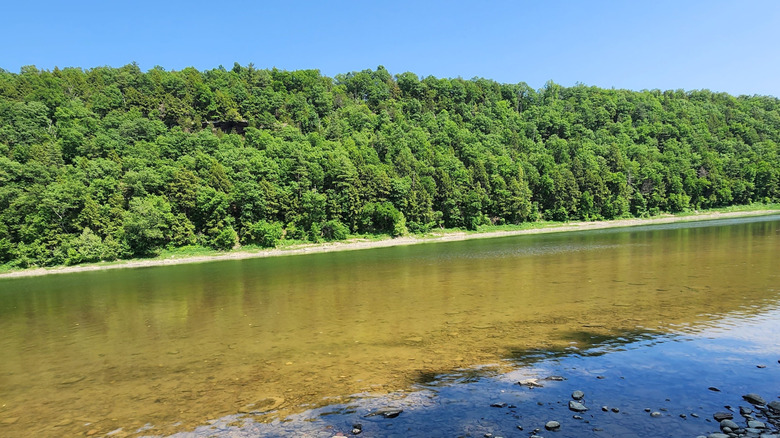 Panoramic view of Vosburg Neck State Park.