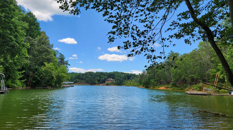 a section of the W. Kerr Scott Reservoir with small docks, surrounded by trees on a clear day
