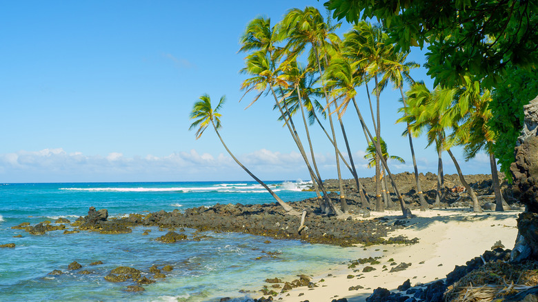Palm trees sway in the wind while turquoise water crashes onto the white sand and black volcanic rock at Makalawena Beach