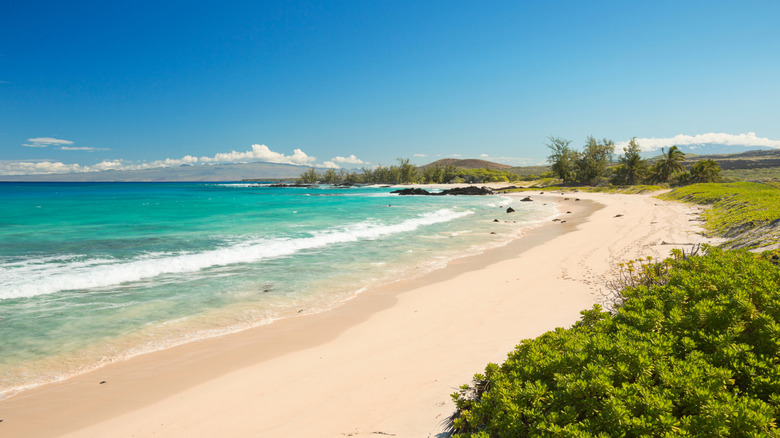 A long stretch of white sand beach meets turquoise waters with no people on Makalawena Beach, Hawaii