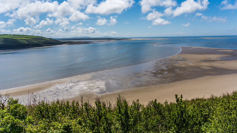 A panoramic view of Llansteffan Beach in Wales fringed with foliage and a verdant slope in the distance