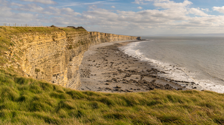 Cliffs along the coastline of the Vale of Glamorgan in Wales