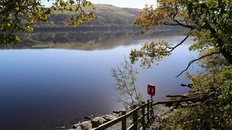 A path leads down to the lakeshore of Llyn Tegid