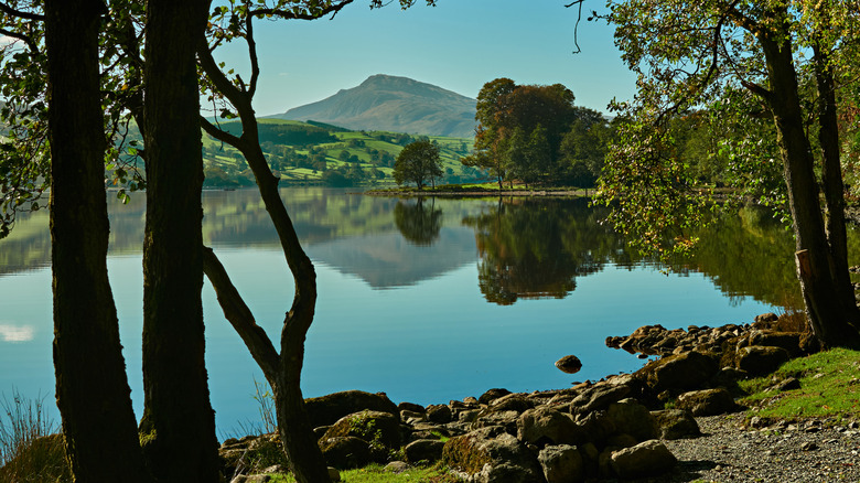 A mountain rises above a glistening lake seen through some trees