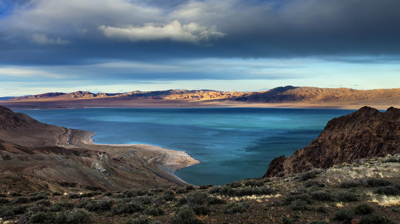 Aerial view of a portion of Walker Lake, vivid blue lake set against desert hills