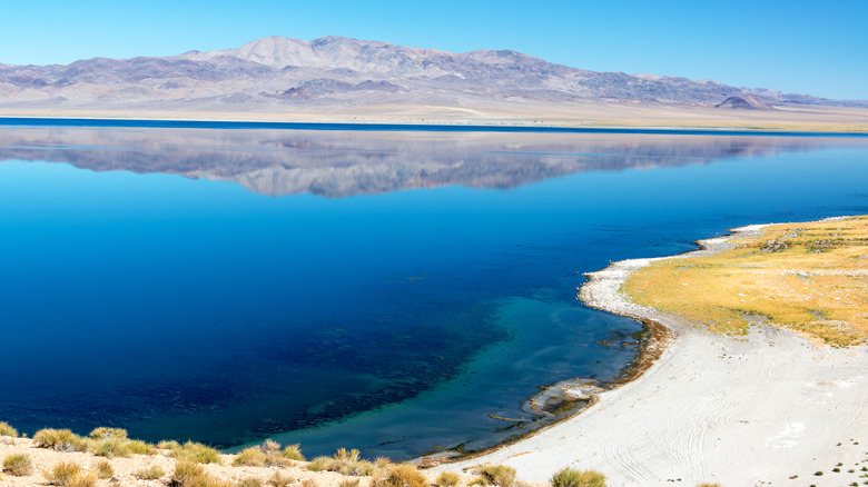 Walker Lake with its sandy shore and the mountains reflected in the still blue water of the lake.
