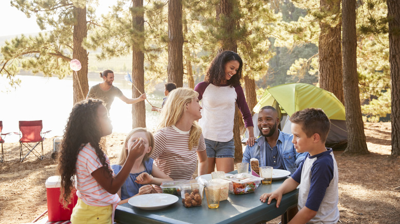 A group of adults and kids camping in the woods