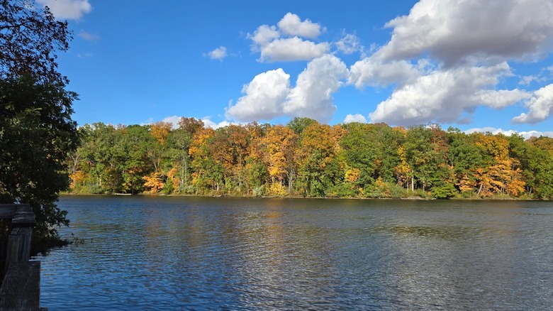 a scenic view of Walnut Point Lake at Walnut Point State Park in Illinois