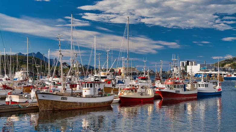 A marina in Bodø, Norway