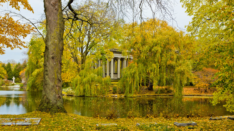 Graceland Cemetery and Arboretum in the fall, Uptown, Chicago