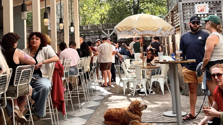 People enjoying the outdoor patio at The Hi-Lo, Humboldt Park, Chicago