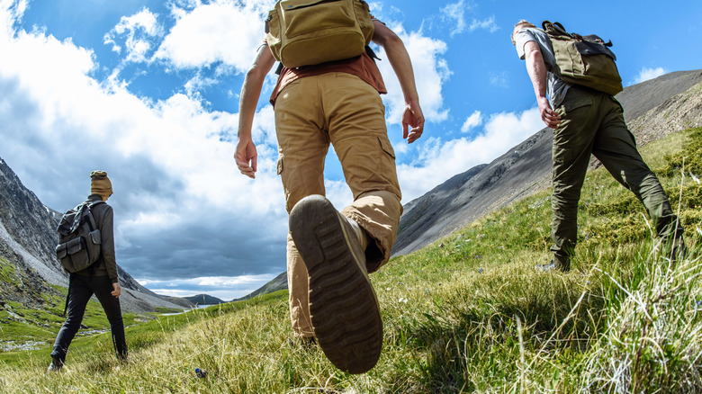 Friends hiking along valley grass