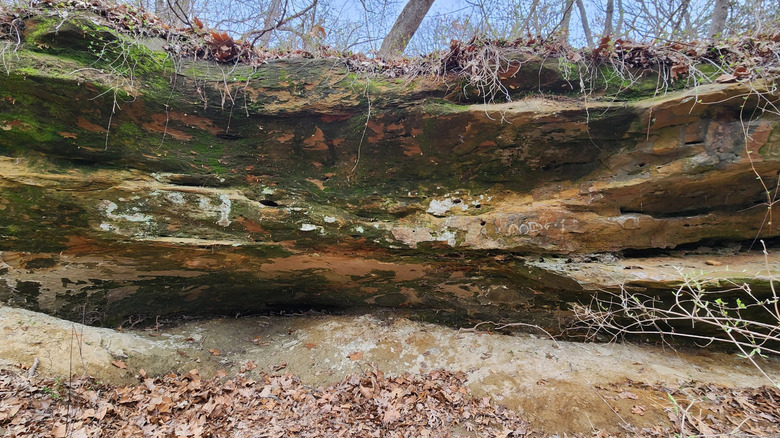 A view on a the Cave Hollow Park hiking path