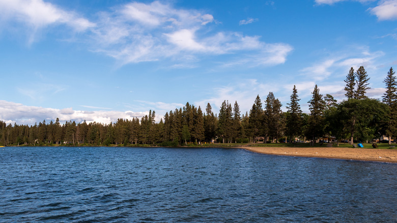 A distant view of the beach and trees in Wasagaming Townsite, Manitoba