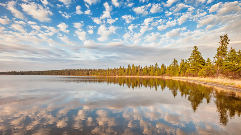 A view of Clear Lake bordered by trees on a cloudy day in Riding Mountain National Park, Manitoba