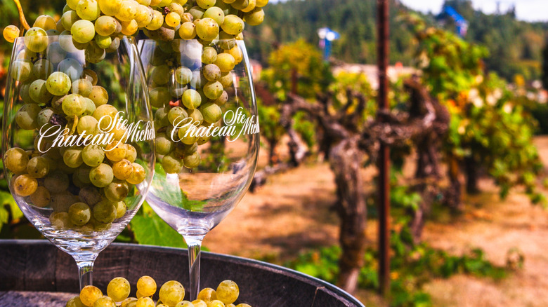 A picture of the popular winery Chateau Ste Michelle