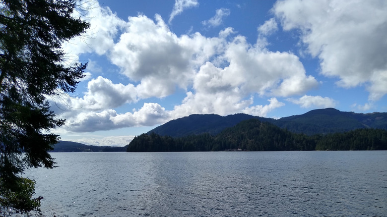 A shot of the waters of Lake Whatcom near Bellingham, Washington