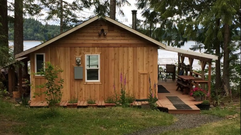 Waterfront Cabin Airbnb on Puget Sound