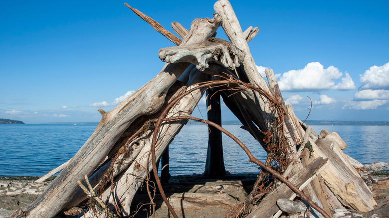 Driftwood structure on the beach at Fay Bainbridge Park, Bainbridge Island, Washington