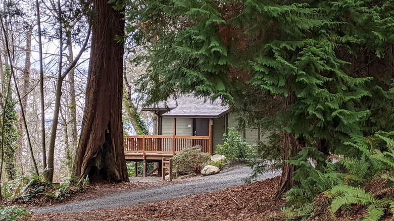 One of the cabins at Fay Bainbridge Park, Washington, surrounded by lush trees