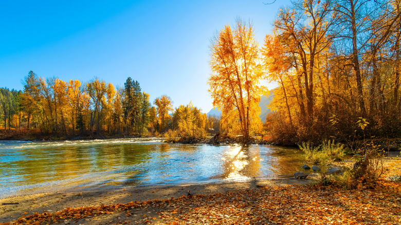 Blackbird Island, along the Wenatchee River, during autumn, in Leavenworth, Washington