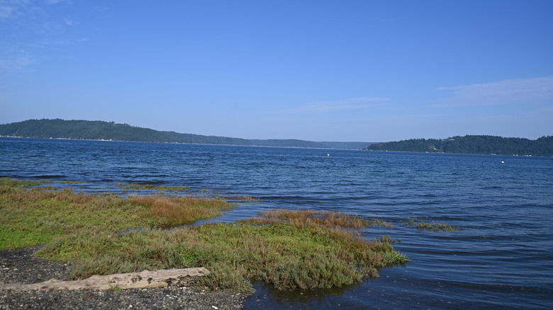 Grassy beach on the water at Potlatch State Park