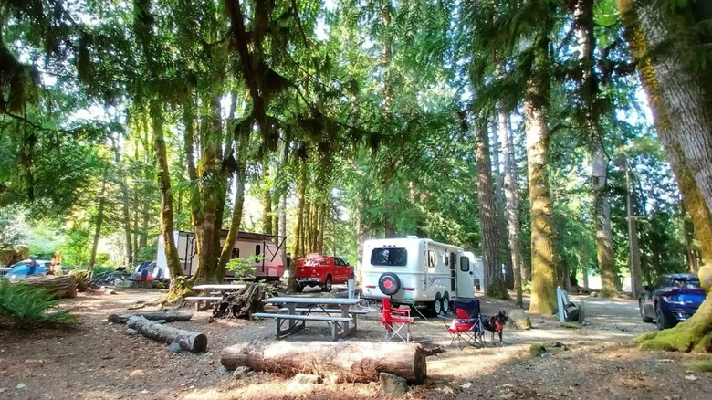 A campground with vehicles surrounded by trees