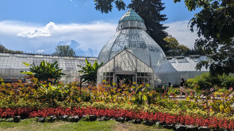 Front-facing view of W.W. Seymour Conservatory's glass conservatory on a sunny day, with blooming plants around the front