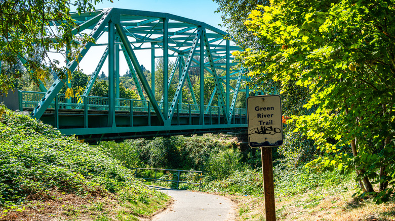 Green river trail in Kent