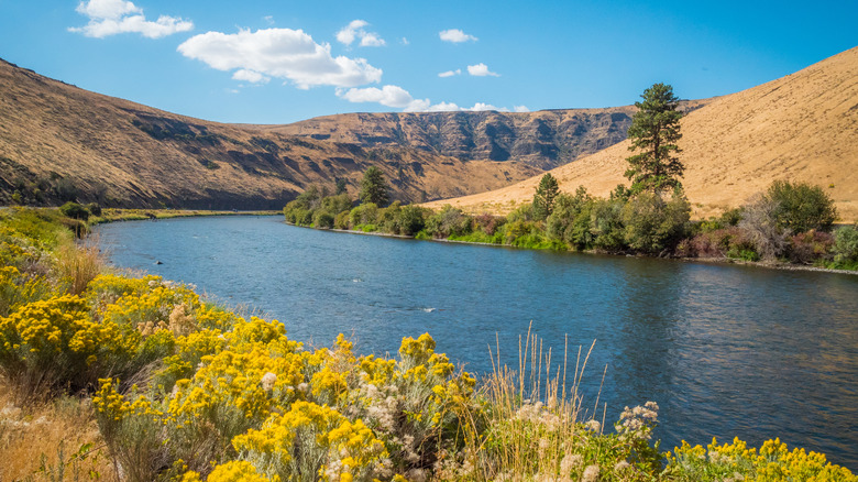 Blue river snaking through hills and basalt mountains