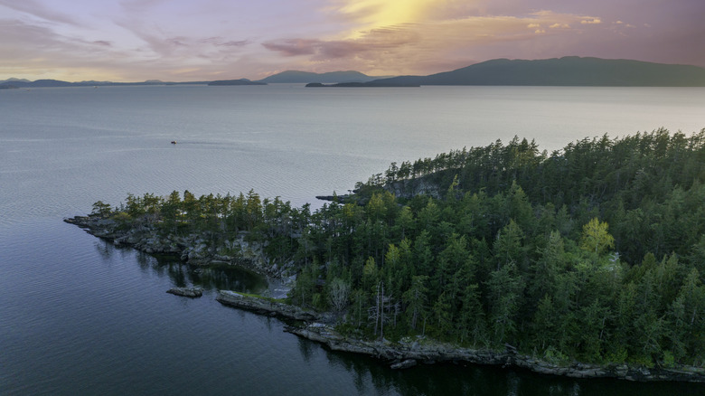 Island outline with evergreen trees at sunset