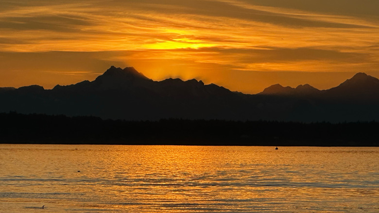 Setting sun over the Olympic mountains across puget sound