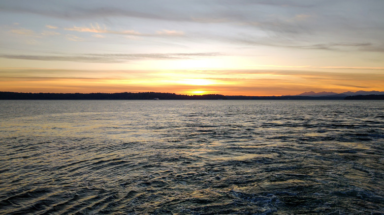 Sunset over the rippling waters of Puget Sound with Vashon Island and Blake Island Marine State Park in the far distant with seagulls and a Washington State Ferry