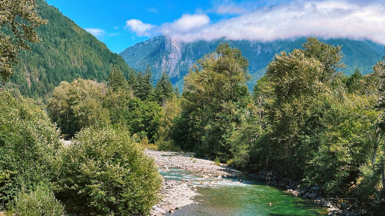 The river by Index Washington