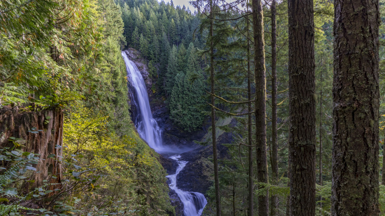 Wallace Falls waterfall near Index
