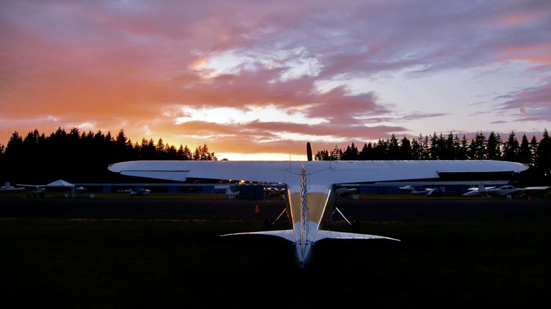 an airplane in front of trees and a cloudy sky at sunset at Skyfest in Arlington, Washington