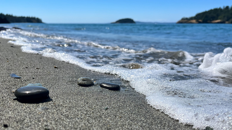 Smooth stones on a sandy beach on Whidbey Island