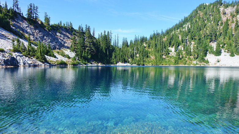 Gem Lake surface with trees surrounding