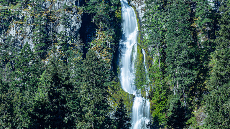Skookum Falls near Greenwater, Washington