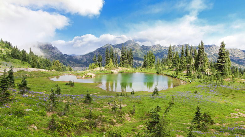 Nature views along the Naches Peak Loop Trailhead