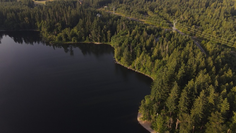 Aerial view of forest and lake in Nolte State Park in Washington.