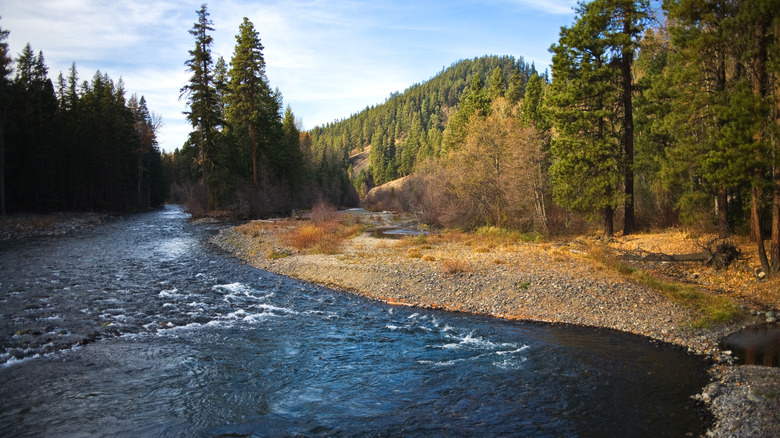 Autumn on the Naches River, Washington